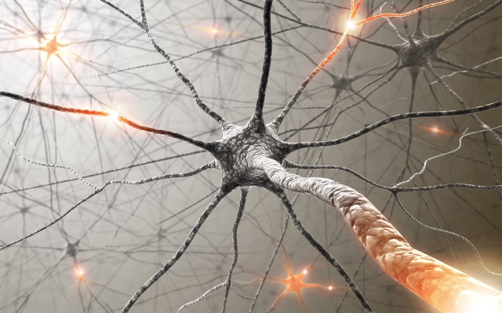 Illustration of interconnected nerve cells with signals travelling along their fibers, representing the sensitization of pain pathways